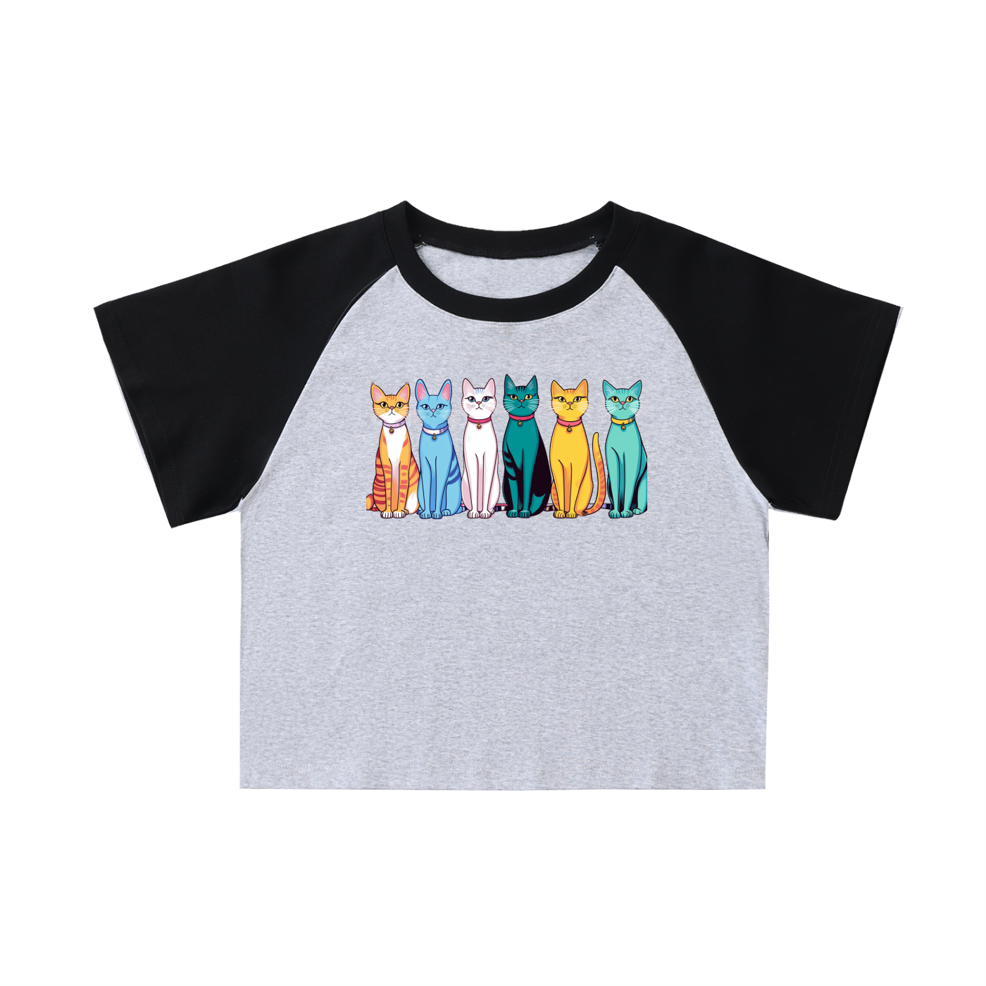 Color-Blocked Raglan Sleeve Crop Top