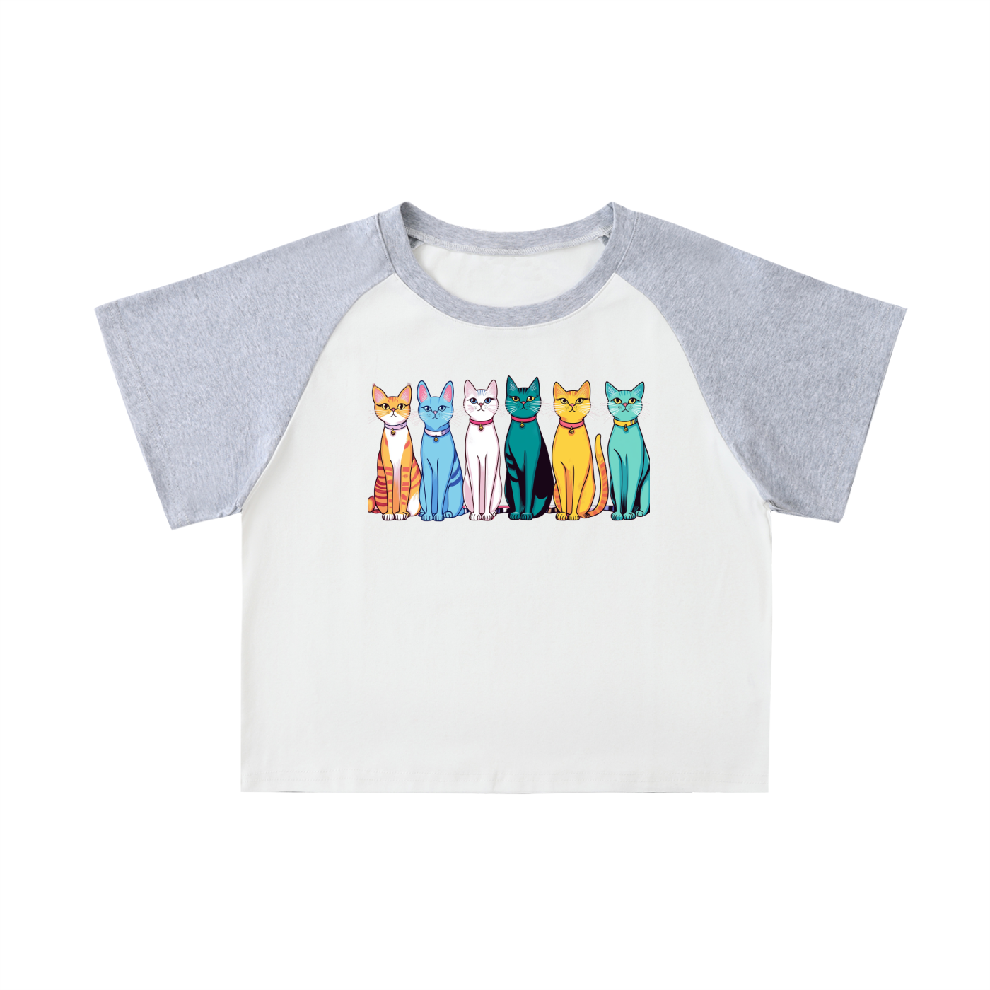 Color-Blocked Raglan Sleeve Crop Top